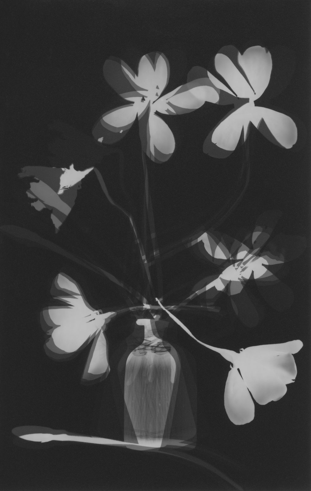 Jittima Sangeamsunthron, Flowerfly, 2024