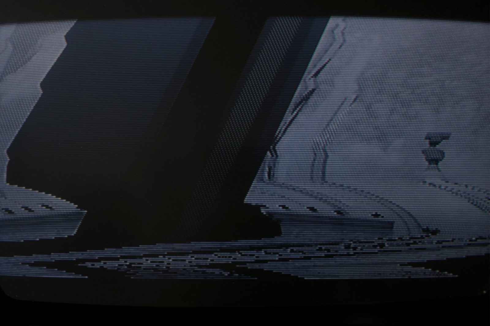Akkara Naktamna, Felling Dreams, 2026, video installation